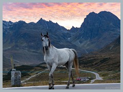 Austria_Silvretta_R4727