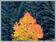 Austria_Silvretta_R5103