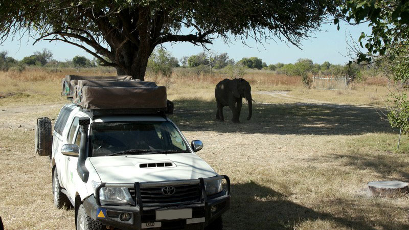 Okavango_5DTR4767_1k6px