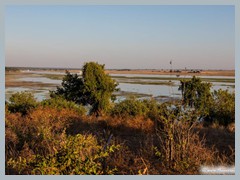 Chobe_5DTR3581_1k6px