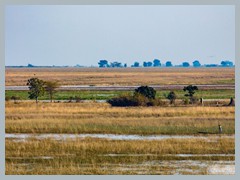 Chobe_5DTR3602_1k6px