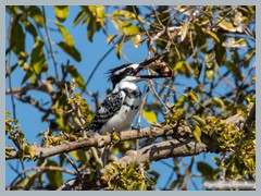Chobe_5DTR3654_1k6px