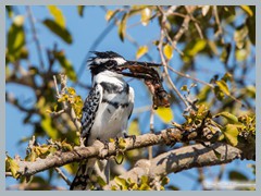 Chobe_5DTR3677_1k6px