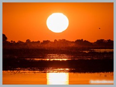 Chobe_5DTR3935_1k6px