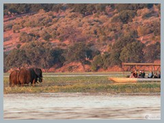 Chobe_5DTR4300_1k6px