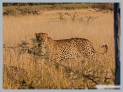 Okavango_5DTR4583_1k6px