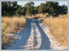 Okavango_5DTR4589_1k6px