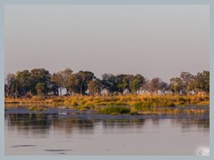 Okavango_5DTR4640_1k6px