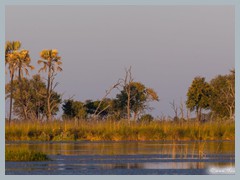 Okavango_5DTR4651_1k6px