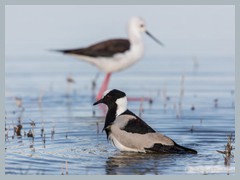 Okavango_5DTR4667_1k6px