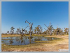 Okavango_5DTR4697_1k6px