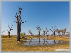 Okavango_5DTR4701_1k6px