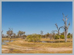 Okavango_5DTR4713Pano_1k6px
