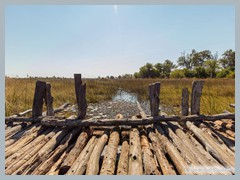 Okavango_5DTR4762_1k6px