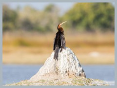 Okavango_5DTR4795_1k6px