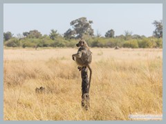 Okavango_5DTR4854_1k6px
