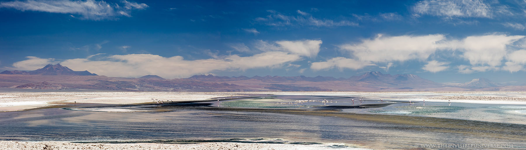 Chile_Altiplano_Atacama_080.jpg