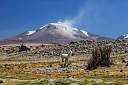 Chile_Altiplano_Atacama_026.jpg