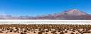 Chile_Altiplano_Atacama_029.jpg