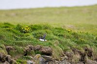 images/Island_5DTR0746.jpg