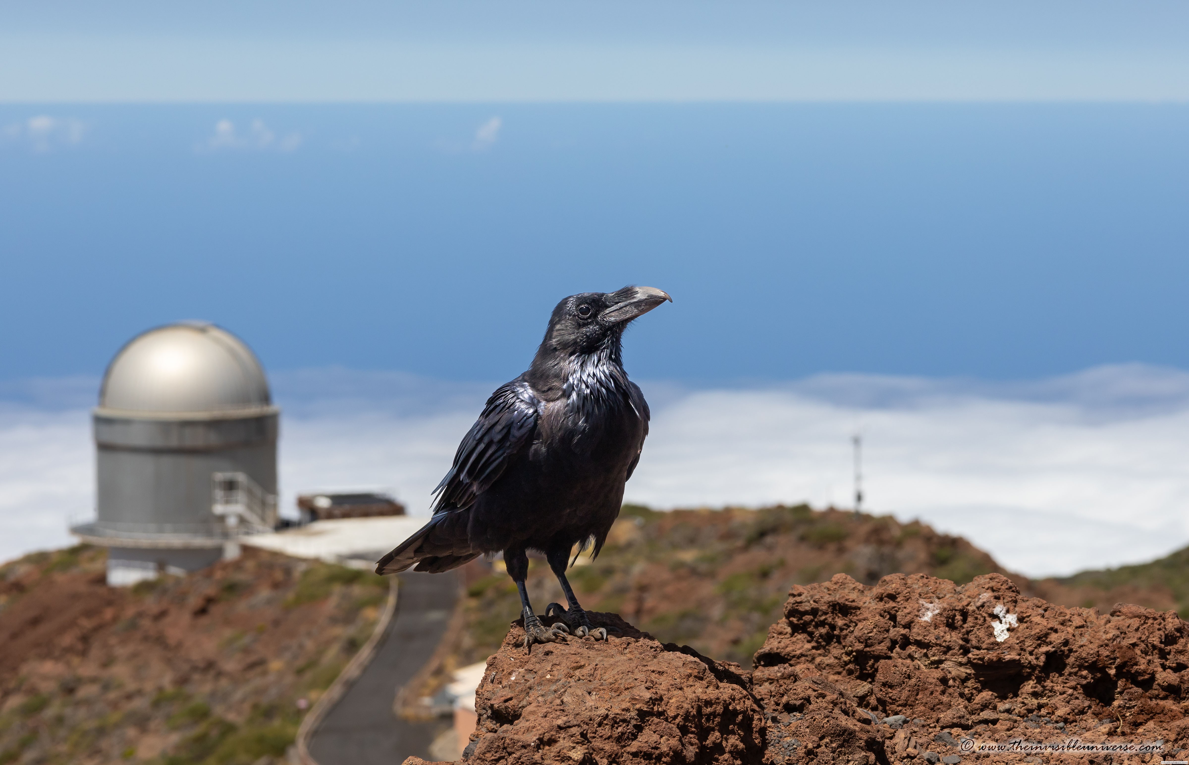 The invisible Universe La Palma 2022