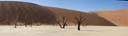 Panorama Dead Vlei 4