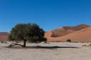 Namib-Naukluft-Park_1DXB2298