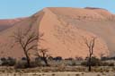 Namib-Naukluft-Park_1DXB2418