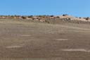 Namib-Naukluft-Park_1DXB2436