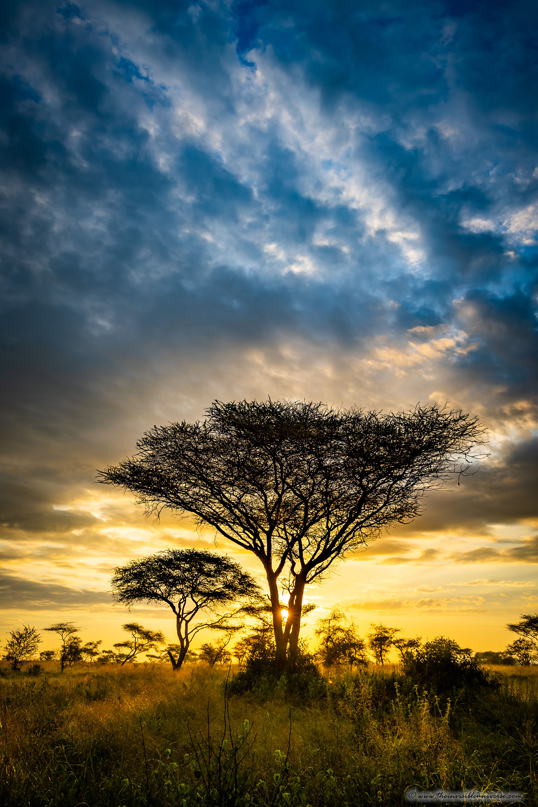 Chobe_5DTR4048_1k6px