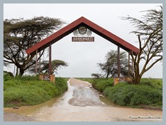 Serengeti_EOSR2330