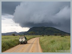 Serengeti_EOSR2640
