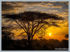 Serengeti_EOSR2780-HDR-Edit