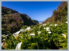 USA_Highway_No.1_R3163