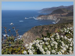 USA_Highway_No.1_R3201