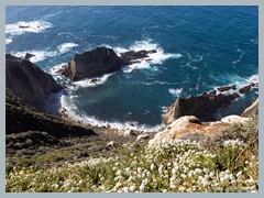 USA_Highway_No.1_R3206