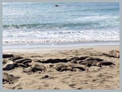 USA_Highway_No.1_R3265