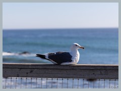 USA_Highway_No.1_R3290