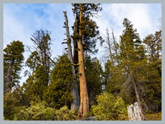 USA_YosemiteNP_R3415