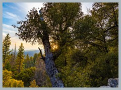 USA_YosemiteNP_R3436-HDR-2