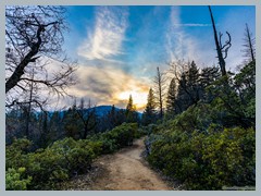 USA_YosemiteNP_R3452