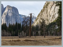 USA_YosemiteNP_R3599