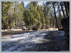 USA_YosemiteNP_R3815