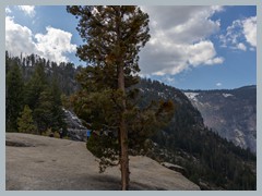 USA_YosemiteNP_R3924