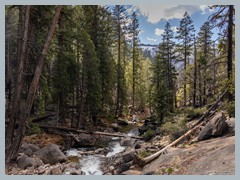 USA_YosemiteNP_R4036