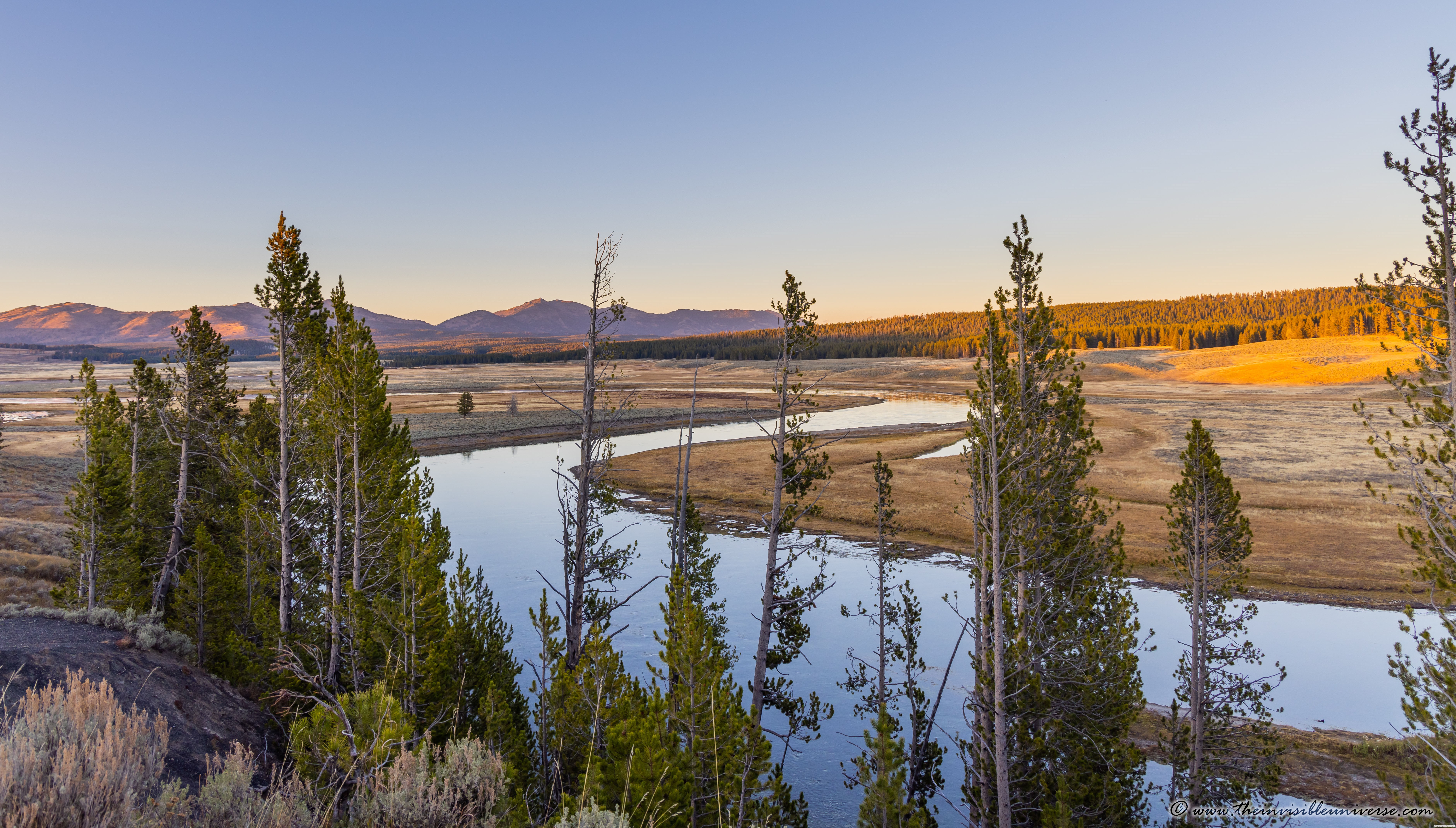 Chobe_5DTR4048_1k6px