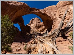 Arches NP_ER5_2950