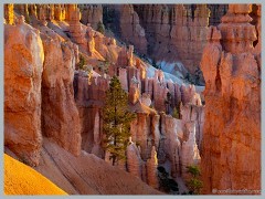 Bryce Canyon_EOSR9947