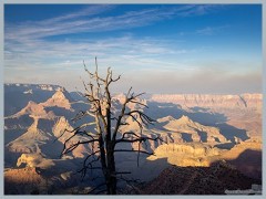 Grand Canyon_ER5_3433