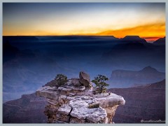Grand Canyon_ER5_3479-HDR